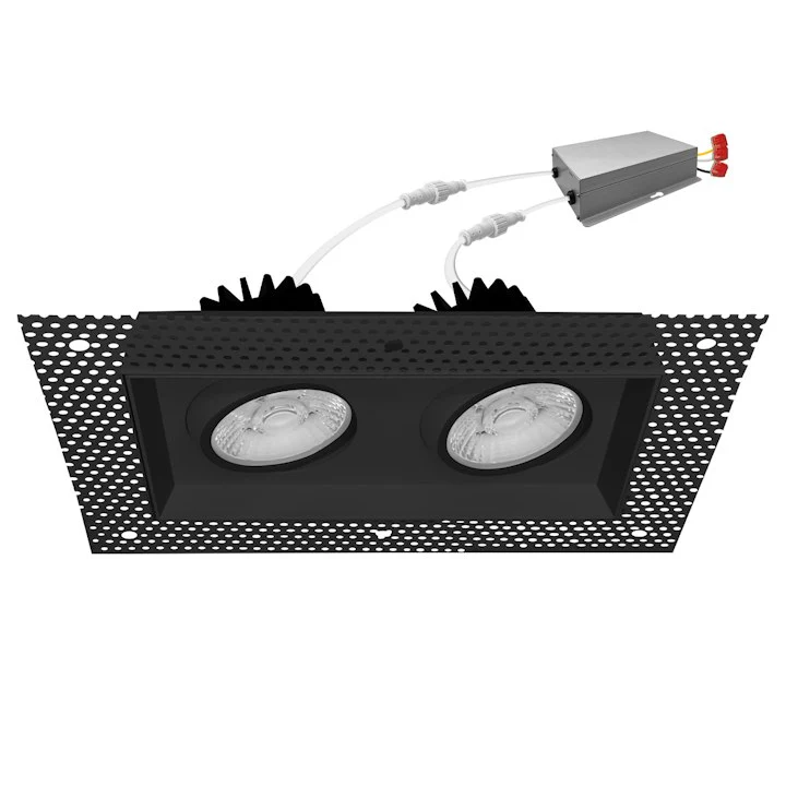 4" Multiple Trimless: Double Head, 2000 Lumens, 30W, 120V - Image 3
