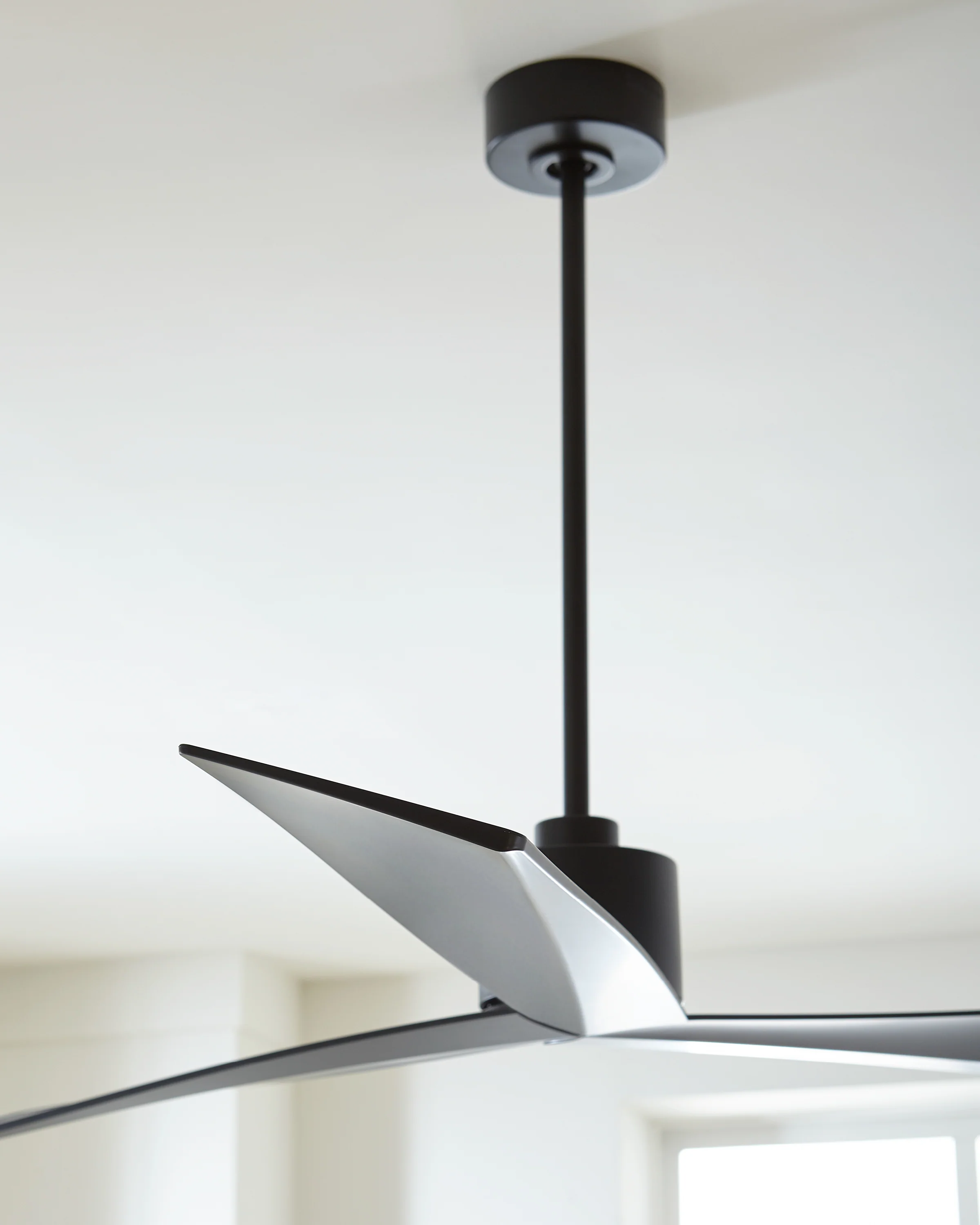 60" Adler - Black on Black - Image 5
