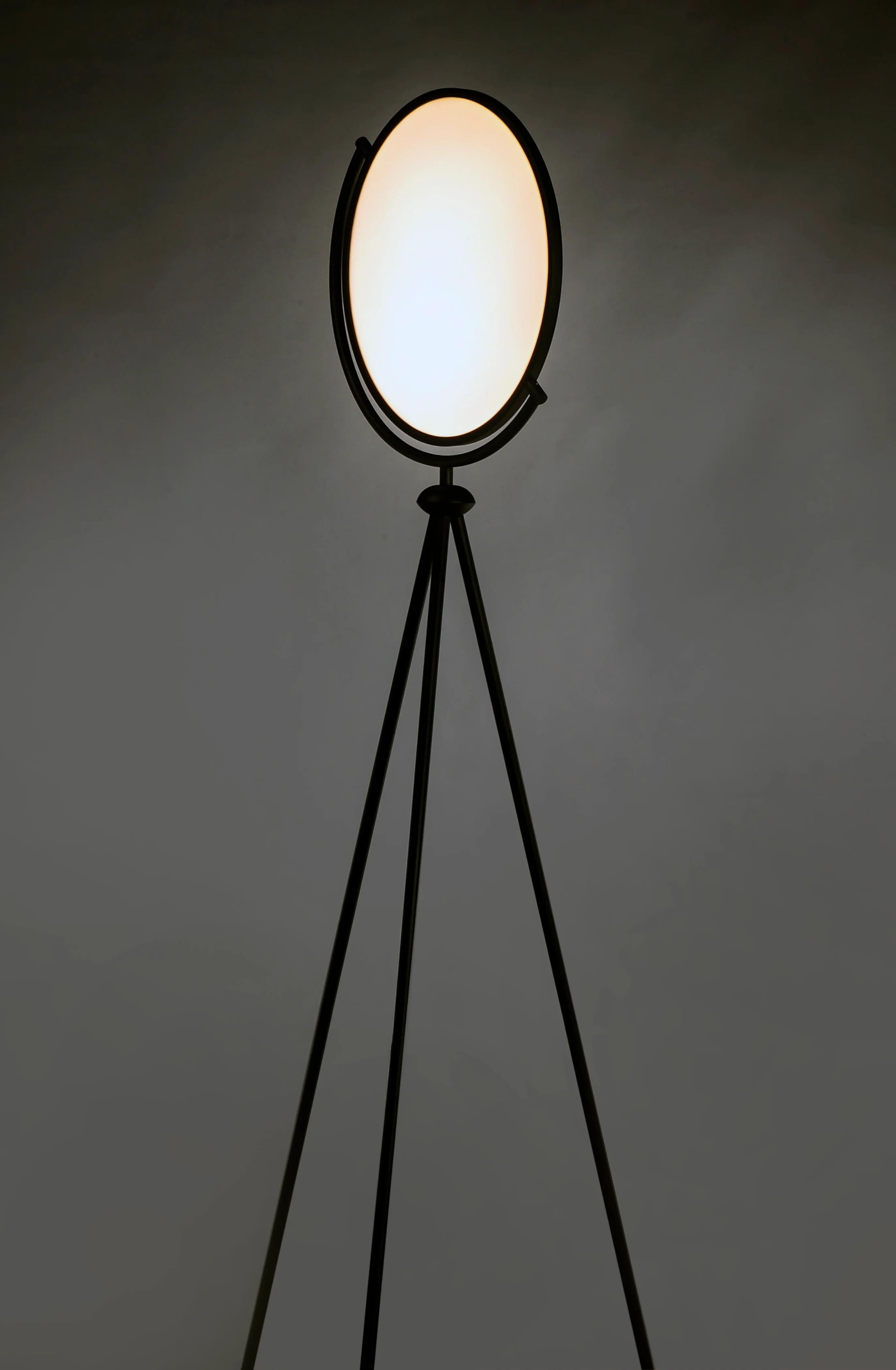 Paddle LED Floor Lamp - Image 3